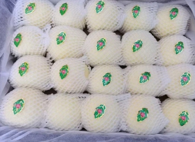 辽宁精品黄元帅，一手货源，保质保量，可视频看货，量大从优