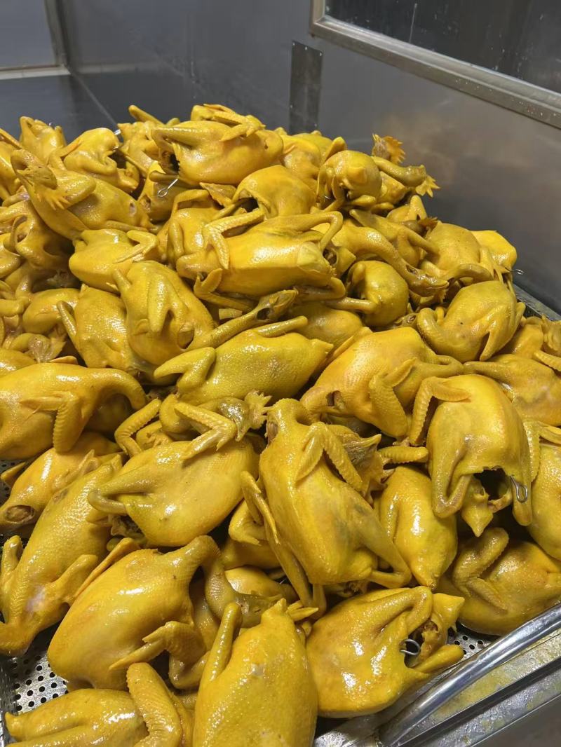 五指毛桃盐焗鸡地摊电商批发盐焗鸡摆摊卤味熟食全熟盐焗鸡
