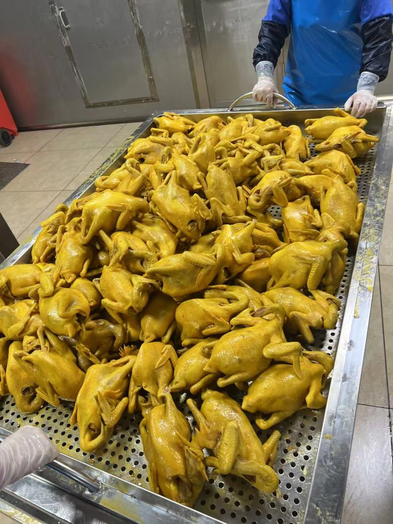 五指毛桃盐焗鸡地摊电商批发盐焗鸡摆摊卤味熟食全熟盐焗鸡