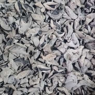 伊春市赵立新食用菌农民专业合作社自产自销货源充足价格美丽
