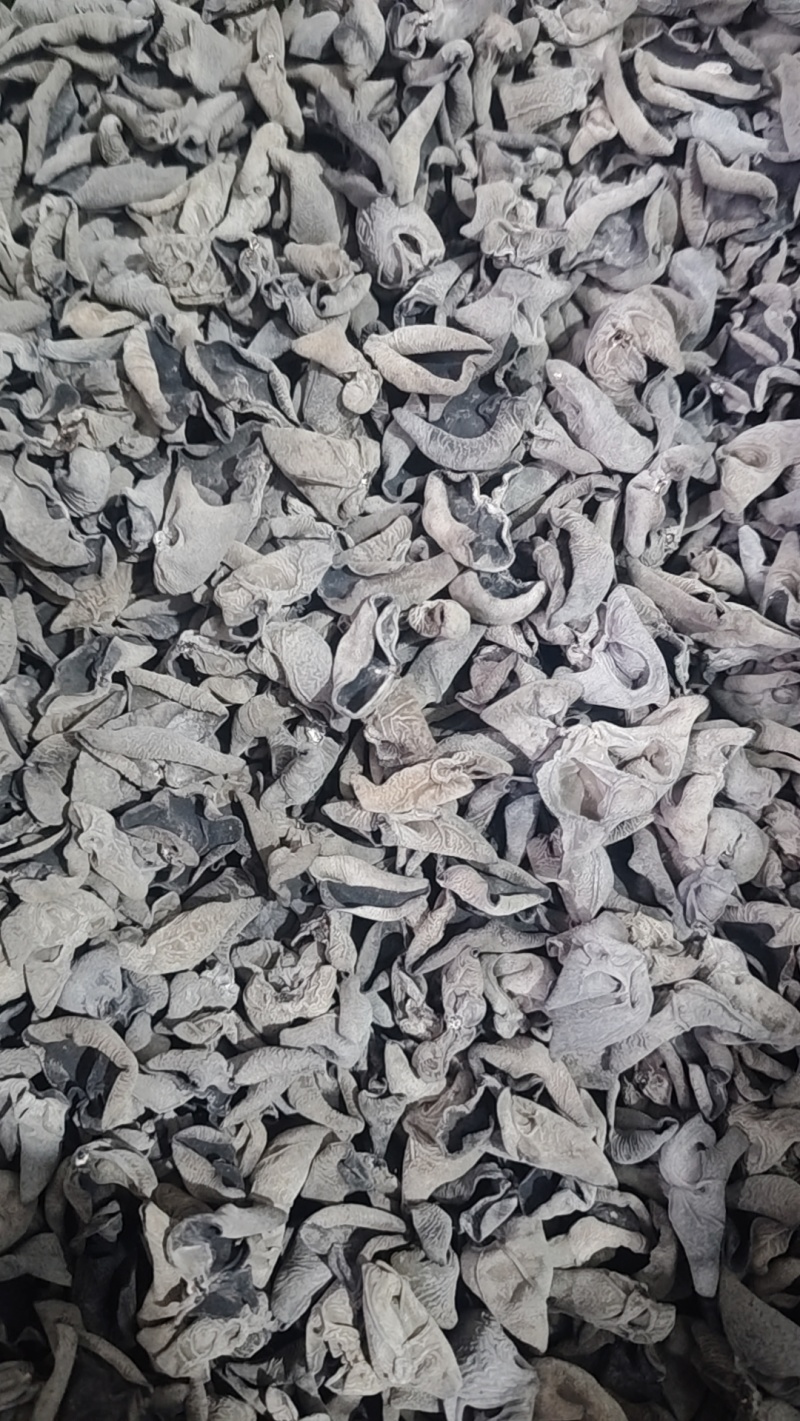 伊春市赵立新食用菌农民专业合作社自产自销货源充足价格美丽