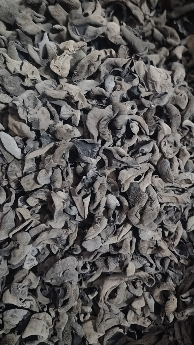 伊春市赵立新食用菌农民专业合作社自产自销货源充足价格美丽
