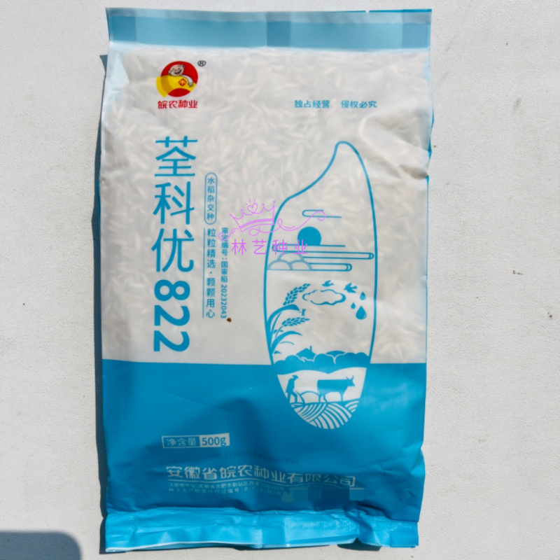 荃科优822杂交水稻新种子**国审淡叶水稻优质米高产原装
