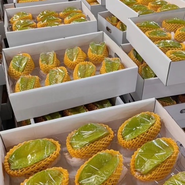 精品杨桃