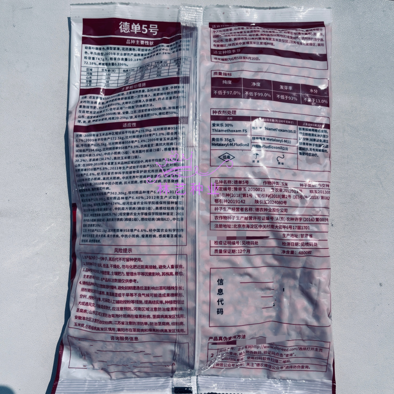 德单5号玉米种子高产抗病饲料玉米种籽抗绣病大棒玉米种孑