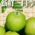 三月李，四月李工厂果，市场果酸爽脆甜