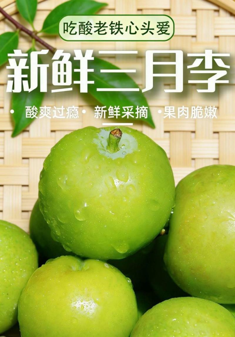 三月李，四月李工厂果，市场果酸爽脆甜