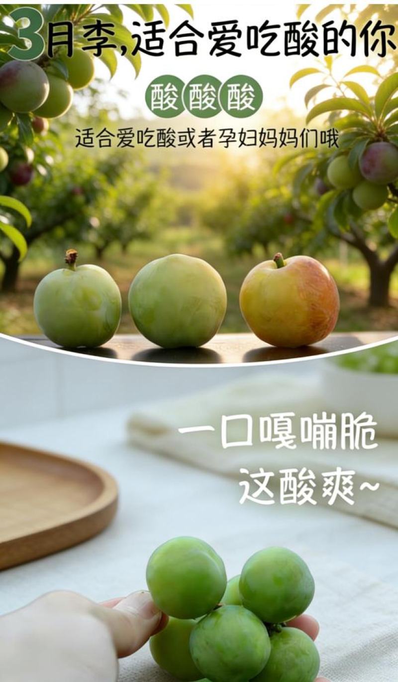 三月李，四月李工厂果，市场果酸爽脆甜