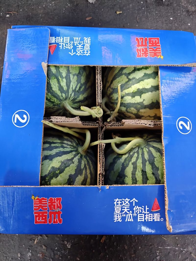 陕西蒲城精品甜王西瓜本地西瓜，纯净水灌溉，代发全国