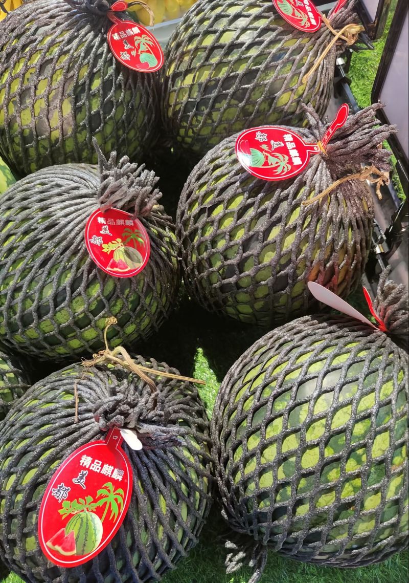 陕西蒲城精品甜王西瓜本地西瓜，纯净水灌溉，代发全国