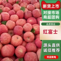 山东红富士苹果果园采摘产地直发低价全国发货品质保