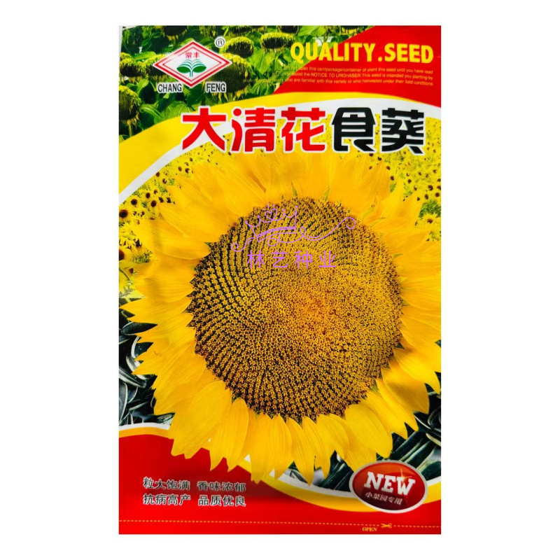 大清花食葵种子矮杆向日葵种子四季播大瓜籽蔬菜葵花种籽