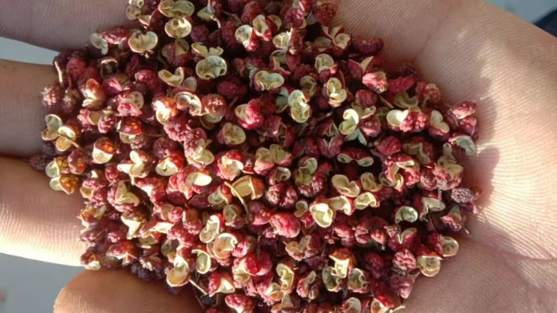 花椒武都花椒精品花椒产地直供一手货源欢迎咨询