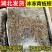 湖北冻蚯蚓活体速冻
