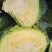 天门市包菜/湖北包菜/对接全网电商团购