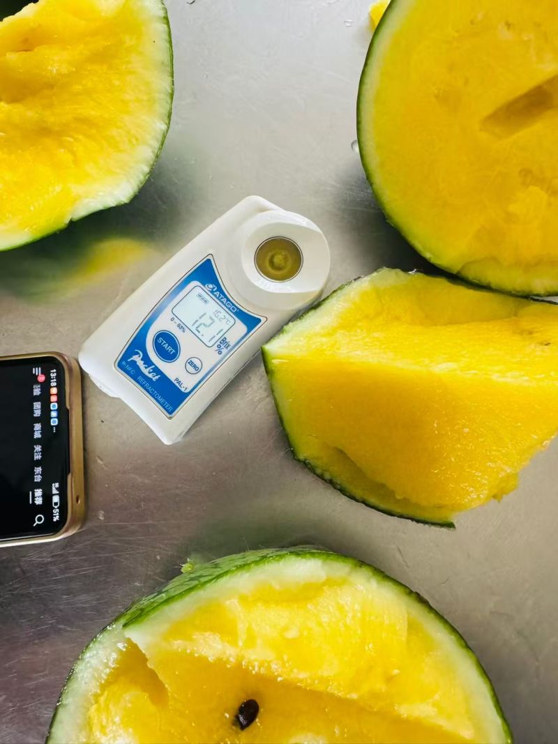 江苏西瓜刚上市特小凤大量有货有需要老板联系。