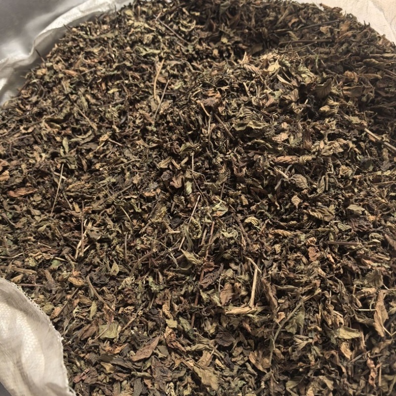 仙草