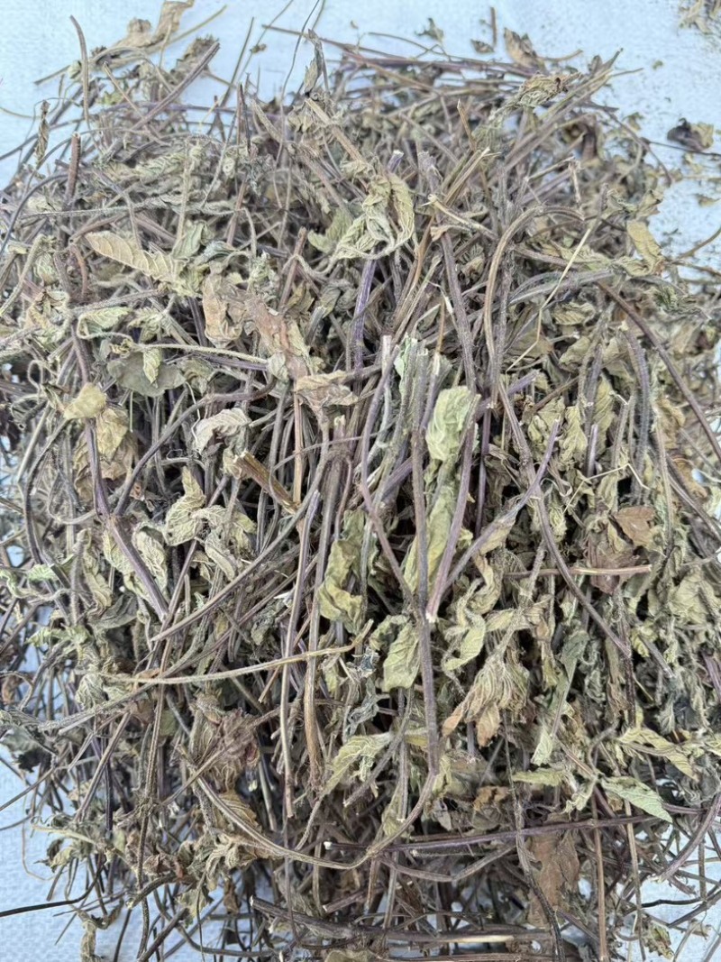 仙草