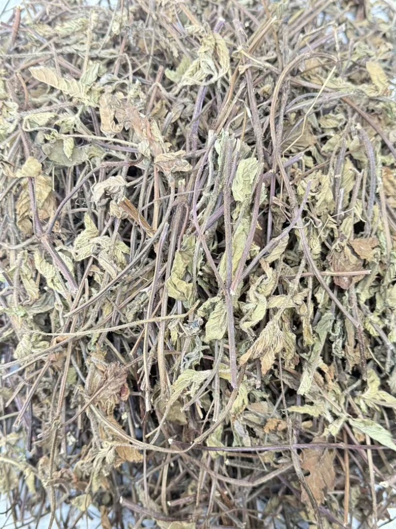仙草