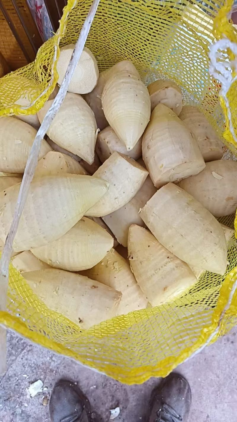 专业优质笋干毛笋干带检测报告