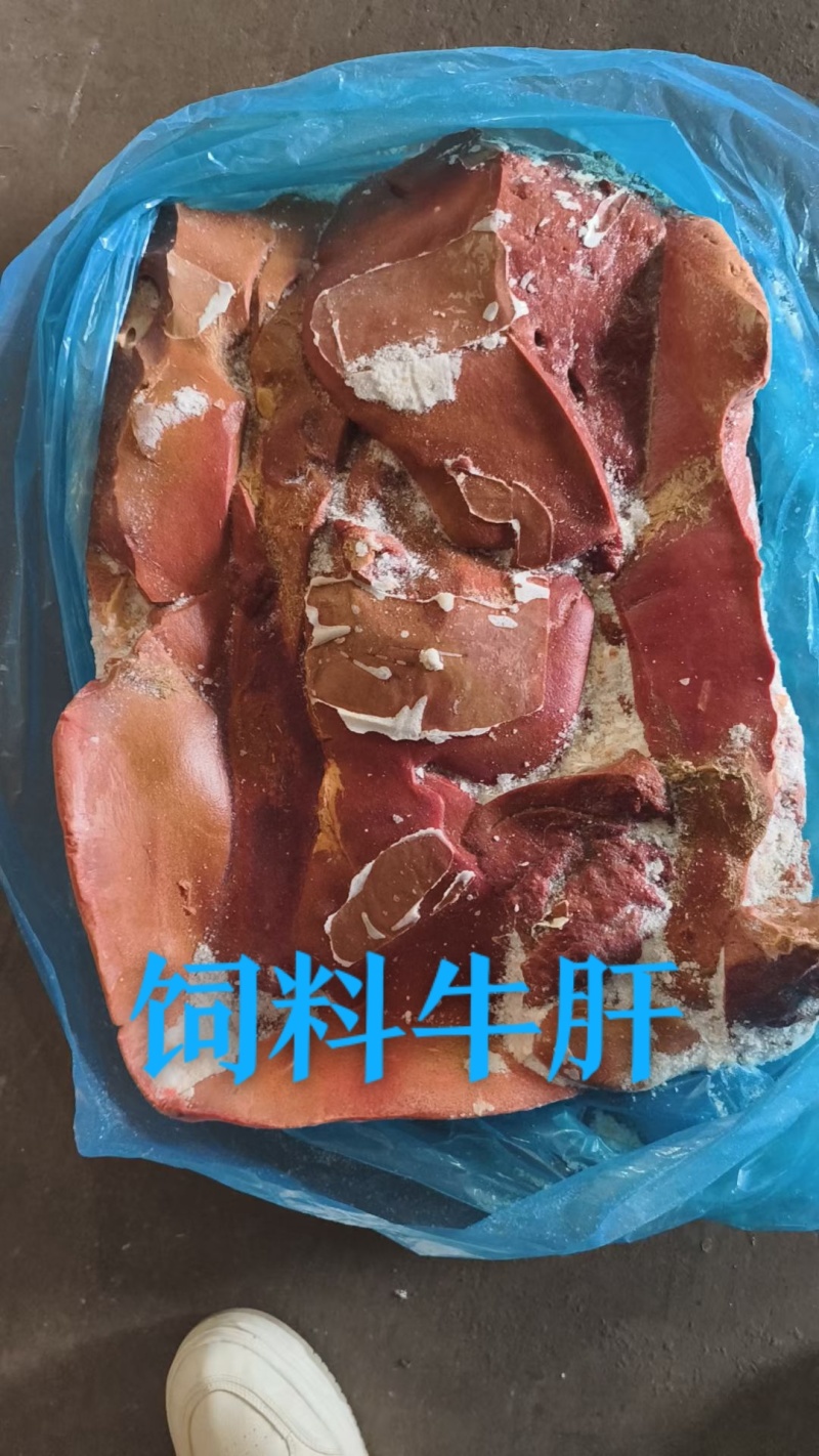 饲料牛肝