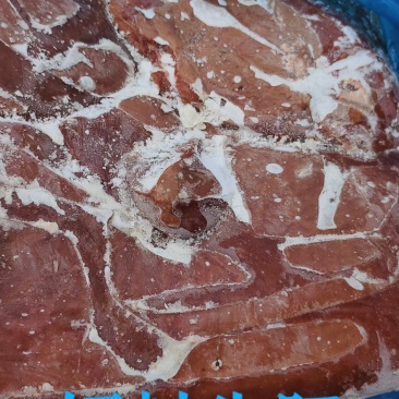 饲料牛肝