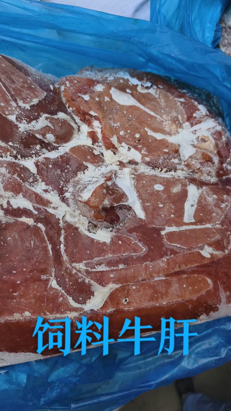 饲料牛肝