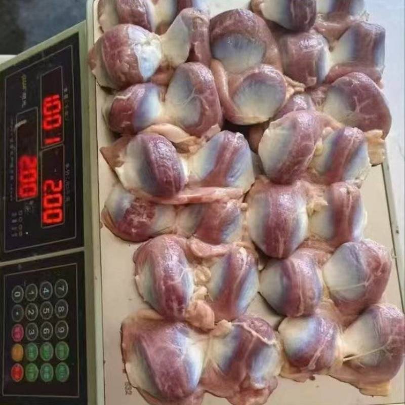 板冻大鸭胗12-16个纯干10吨