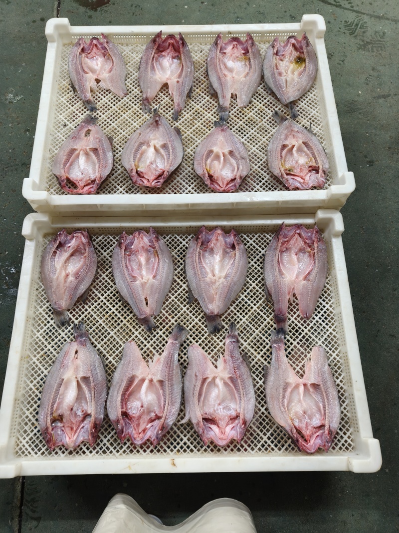 开背加州鲈鱼