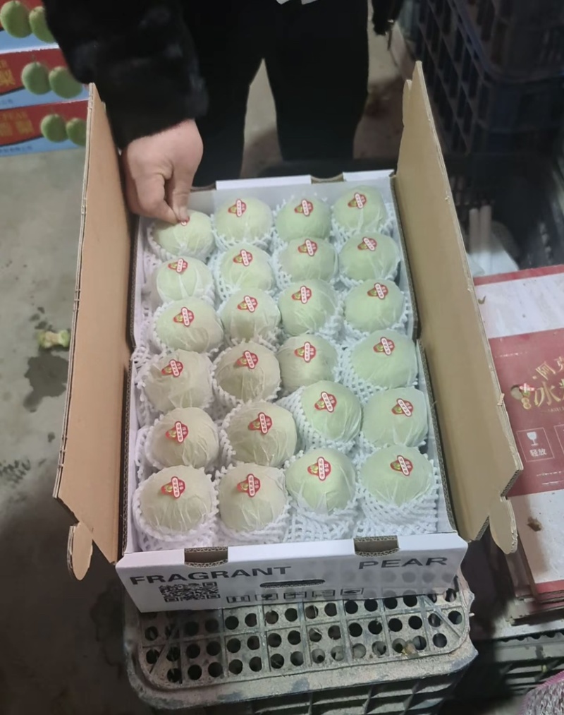 库尔勒香梨产地一手货源品质保证