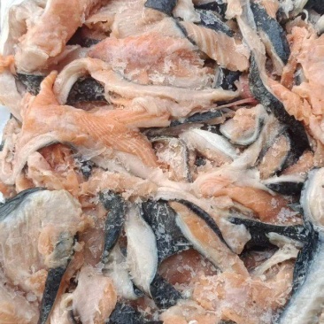 三文鱼碎肉