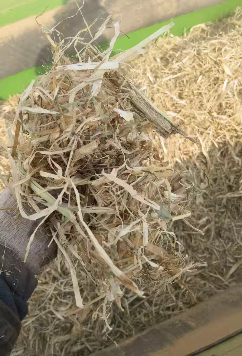 江西九江撕碎稻草养殖场供应常年发货可视频看货