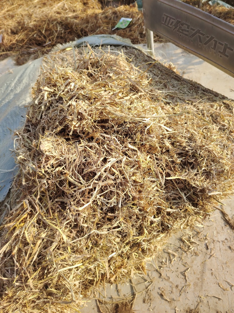 江西九江撕碎稻草养殖场供应常年发货可视频看货