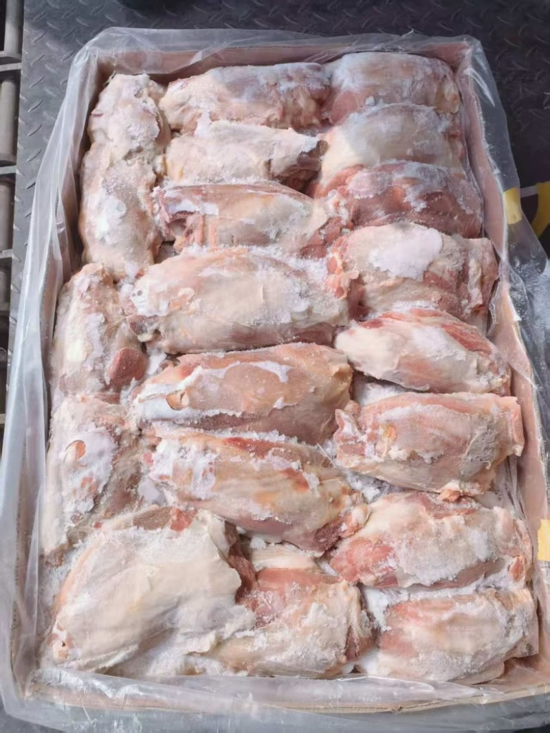 大日期前腱