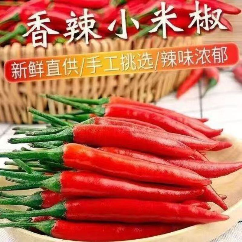 精品小米红尖椒一手货源货源充足品质有保障电商超市市场**