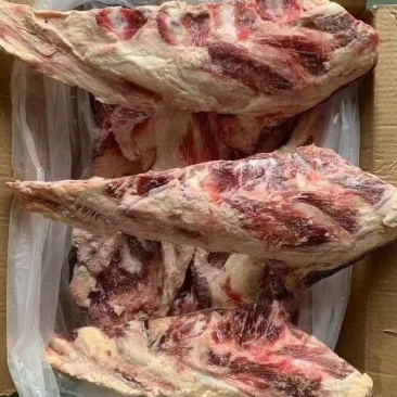 牛燕翅骨