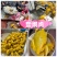 盐焗鸡地摊电商批发五指毛桃盐焗鸡摆摊卤味熟食全熟盐焗鸡