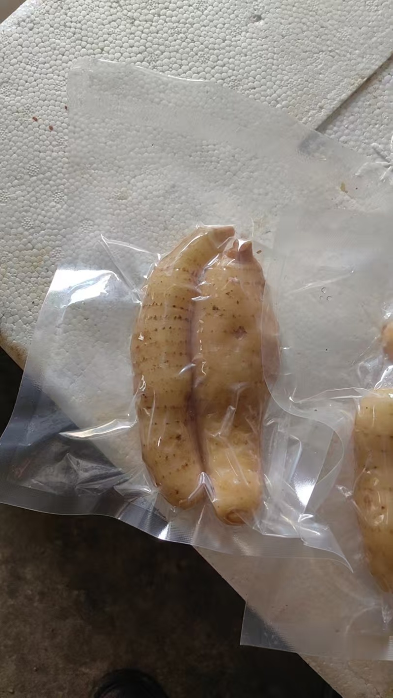 天麻泡菜
