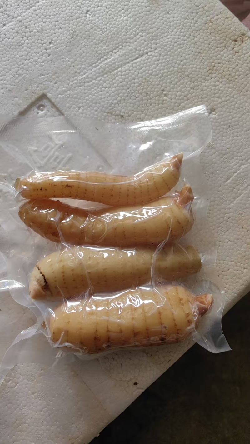 天麻泡菜