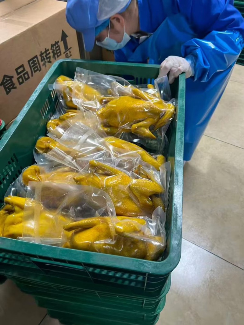盐焗鸡地摊电商批发五指毛桃盐焗鸡摆摊卤味熟食全熟盐焗鸡