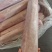三号里脊肉