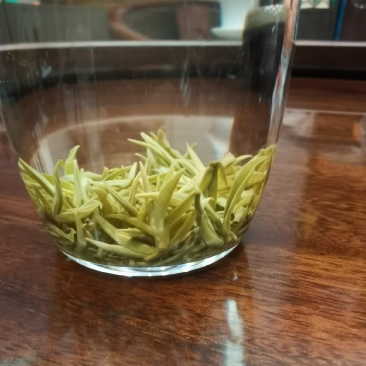 2026年黄金一号茶，黄金二号茶，大量上市，茶叶基地一手