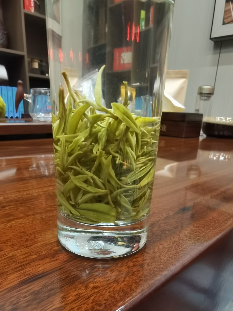 2026年黄金一号茶，黄金二号茶，大量上市，茶叶基地一手