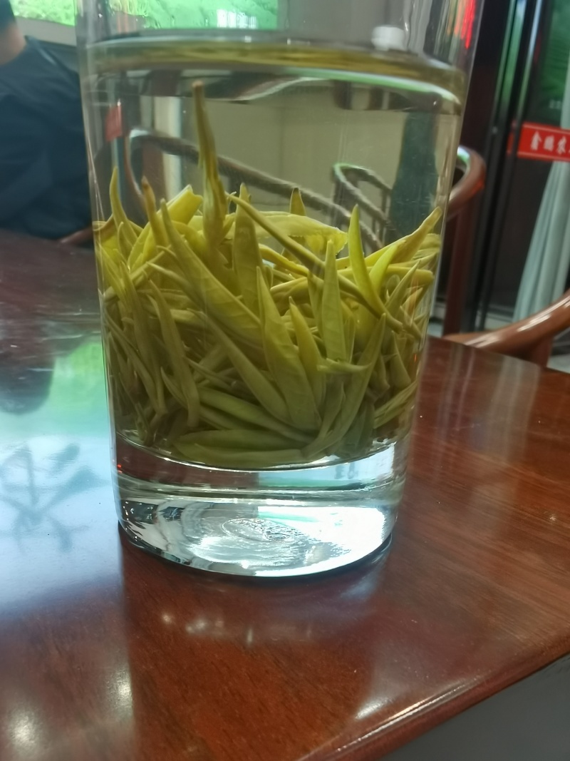 2026年黄金一号茶，黄金二号茶，大量上市，茶叶基地一手