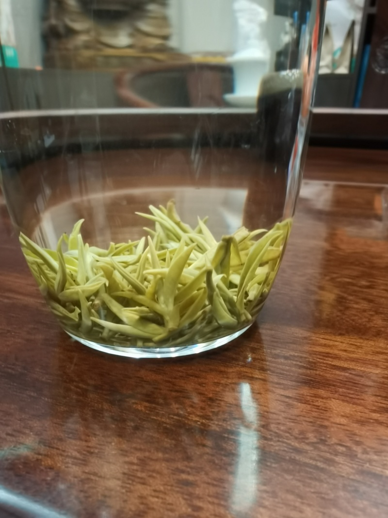 2026年黄金一号茶，黄金二号茶，大量上市，茶叶基地一手