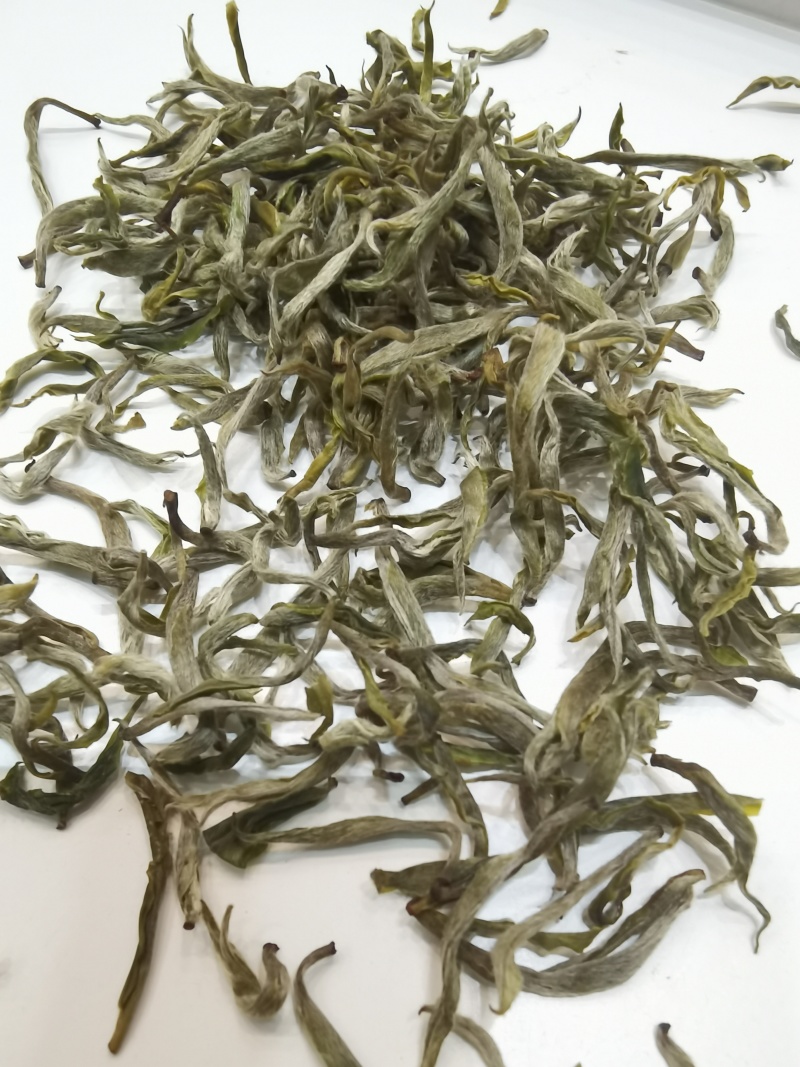 2026年黄金一号茶，黄金二号茶，大量上市，茶叶基地一手