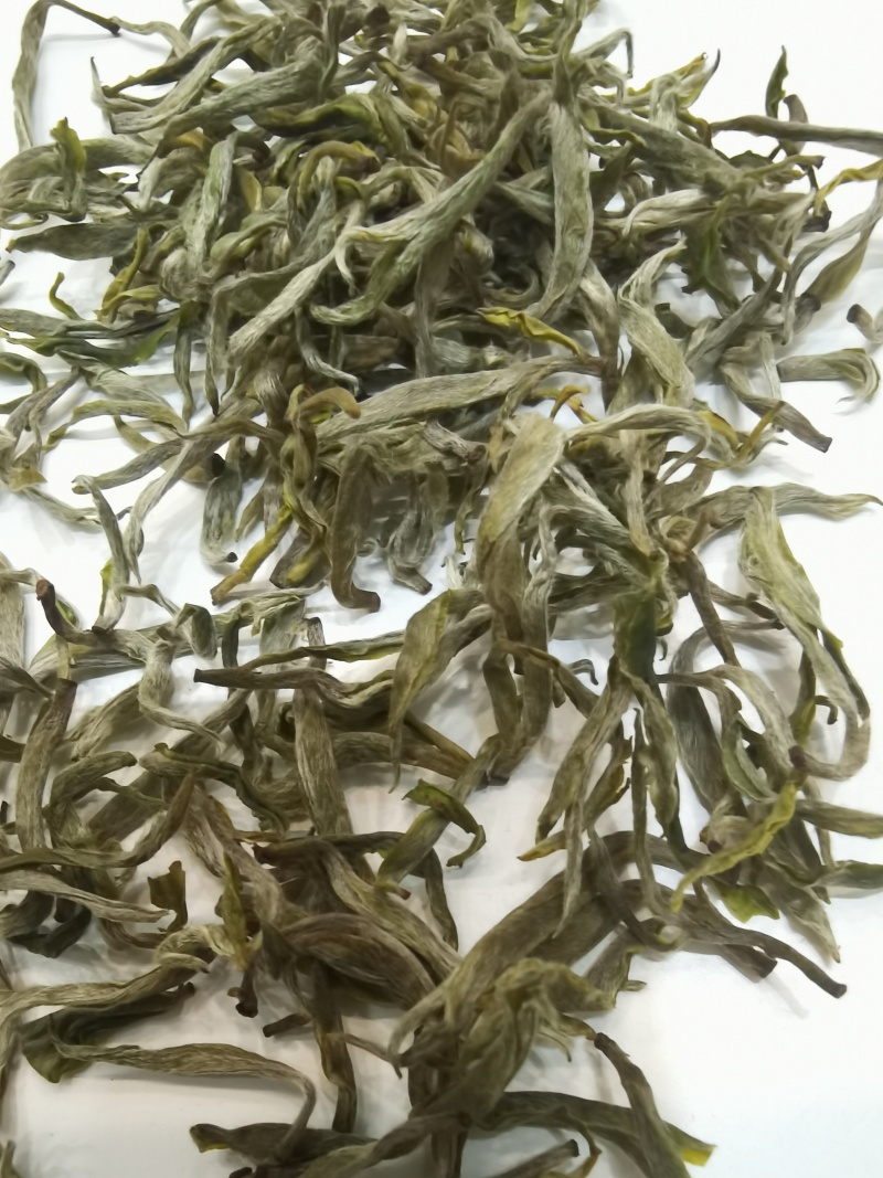 2026年黄金一号茶，黄金二号茶，大量上市，茶叶基地一手