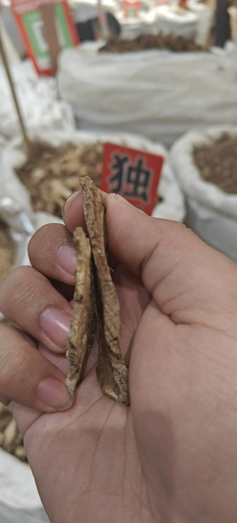 精品湖北独活通货