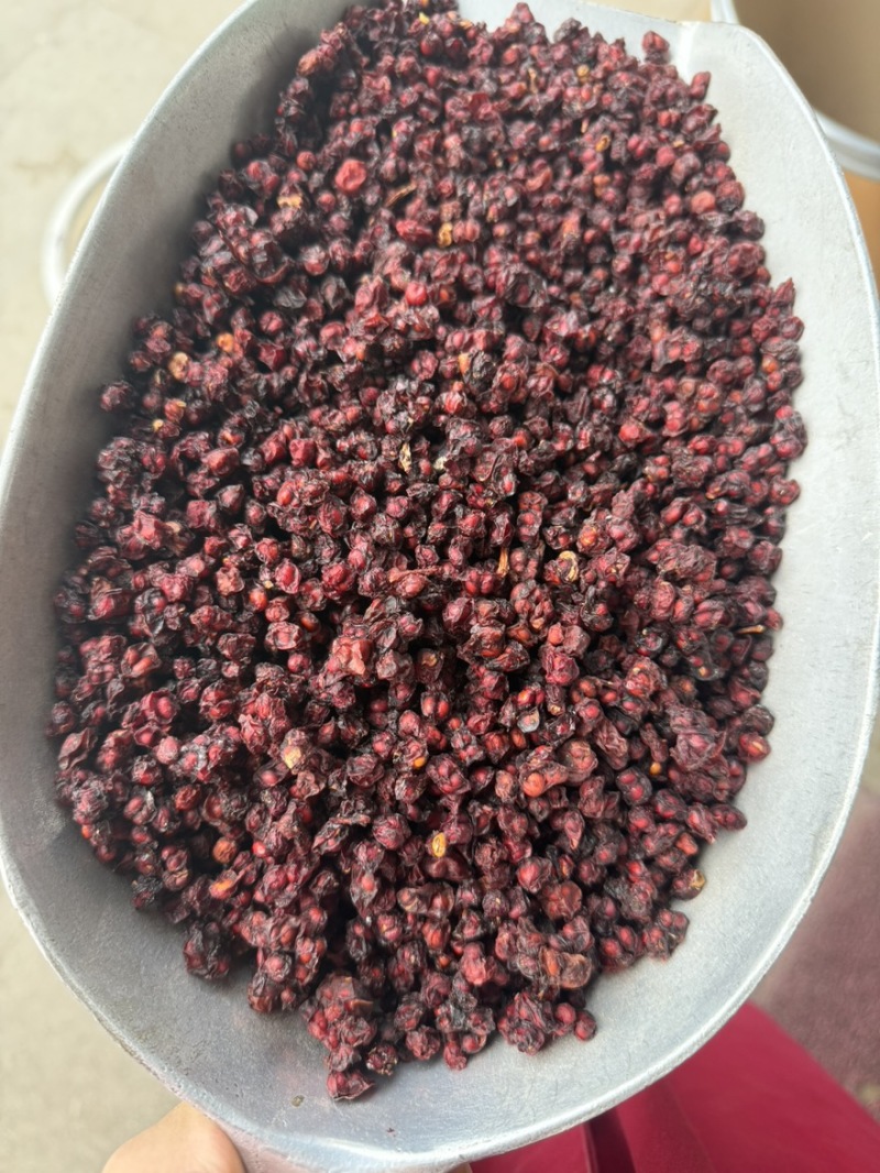 五味子产地辽宁货干颜色好