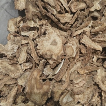 精品湖北独活通货